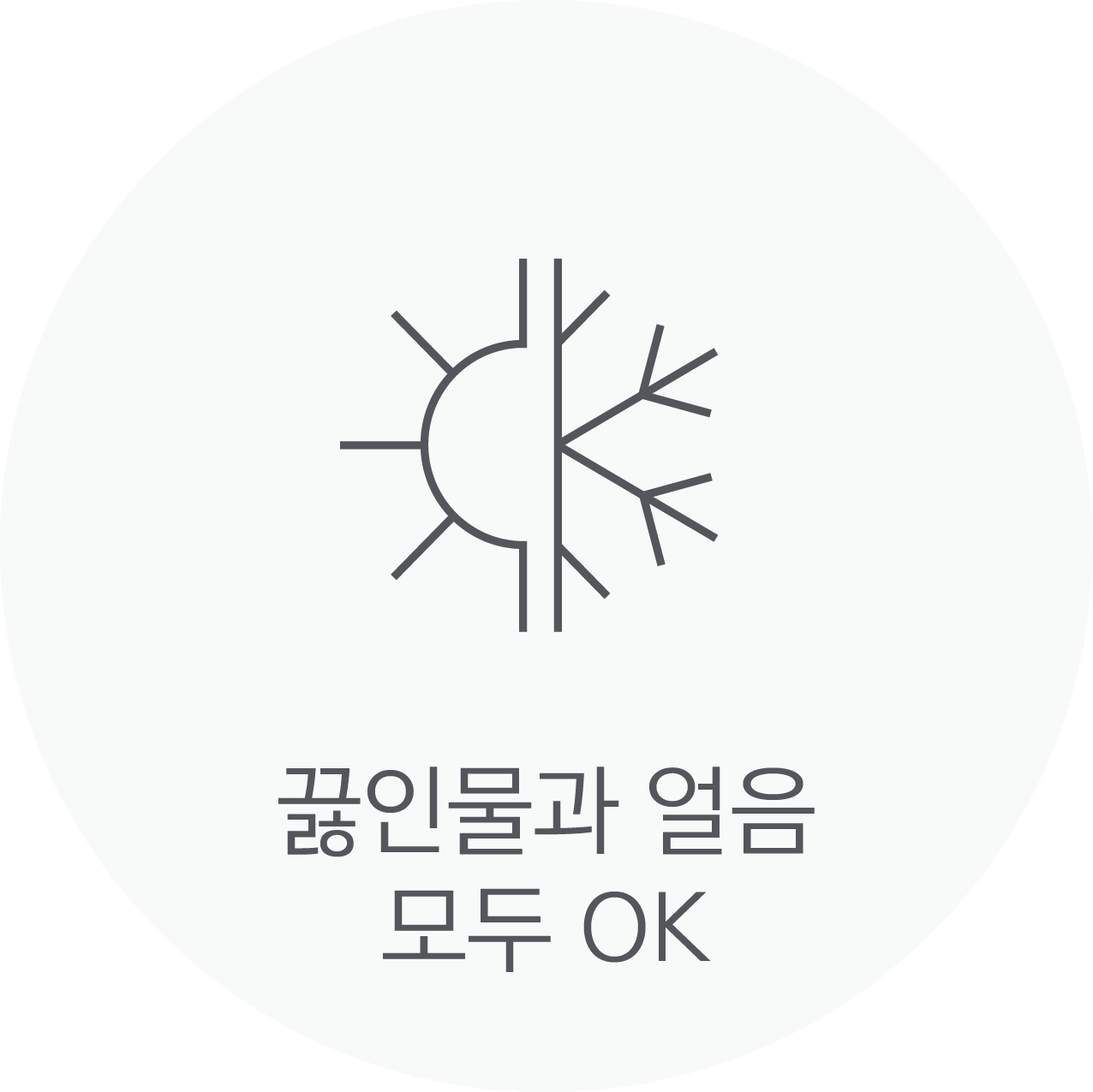 끓인물과 얼음 모두 OK